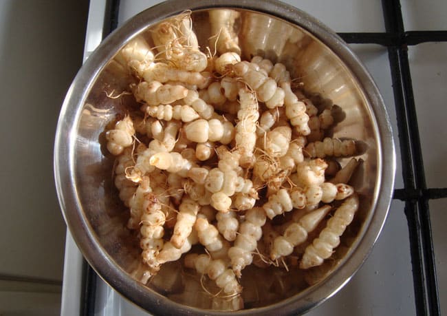 crosnes