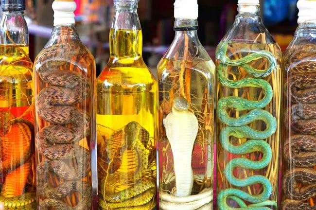 snake-wine