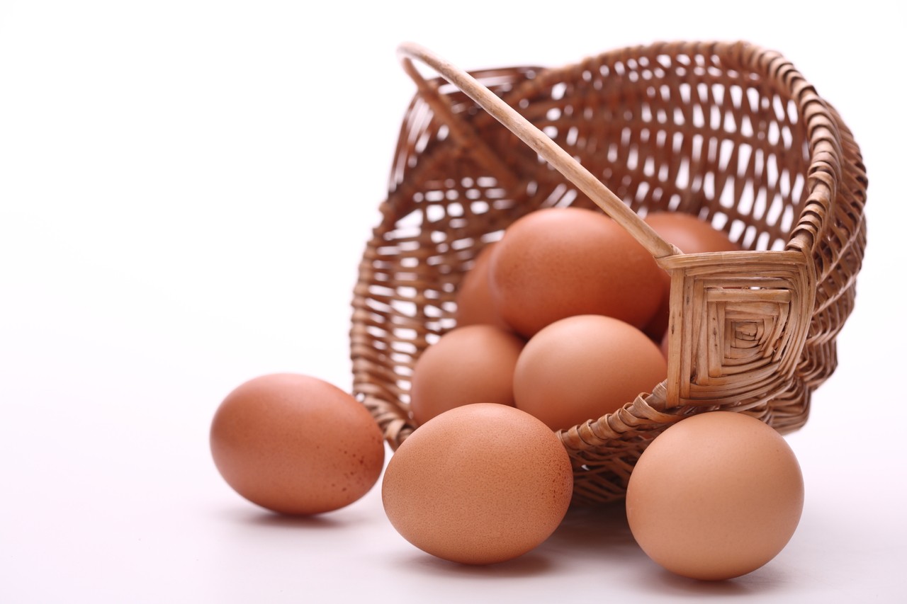 consommation-oeuf1