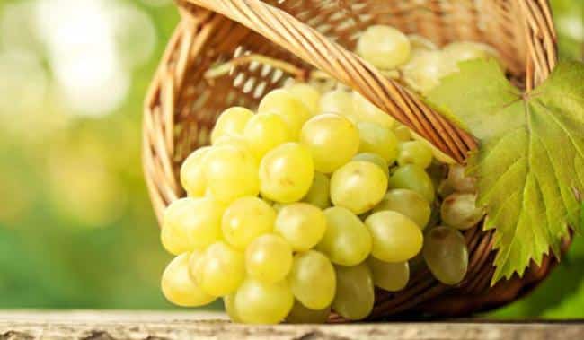 grapes-600_600x350_51428310612