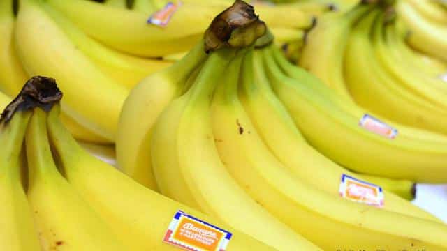 les-bananes-vont-elles-disparaitre