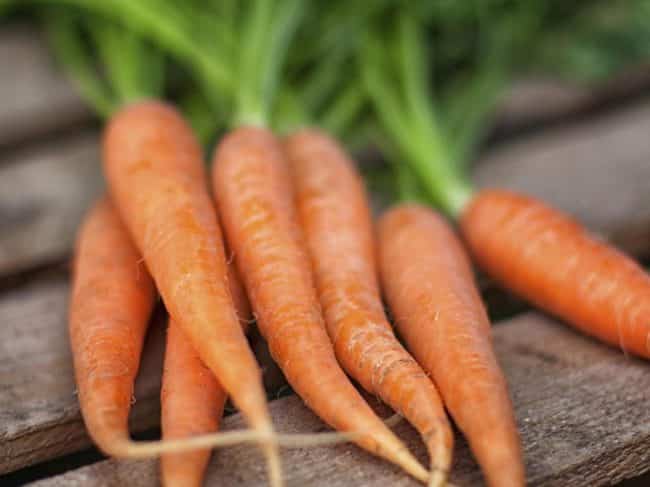 https://jardinage.ooreka.fr/astuce/voir/282838/carottes-avantages-nutritionnels