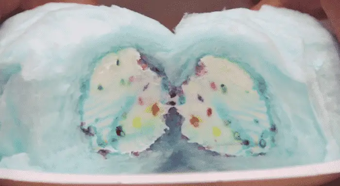 https://www.foodbeast.com