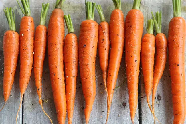 carrots