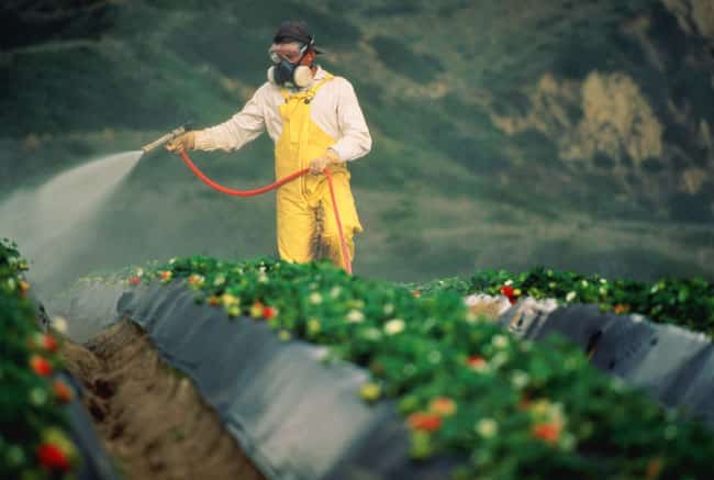 pesticides