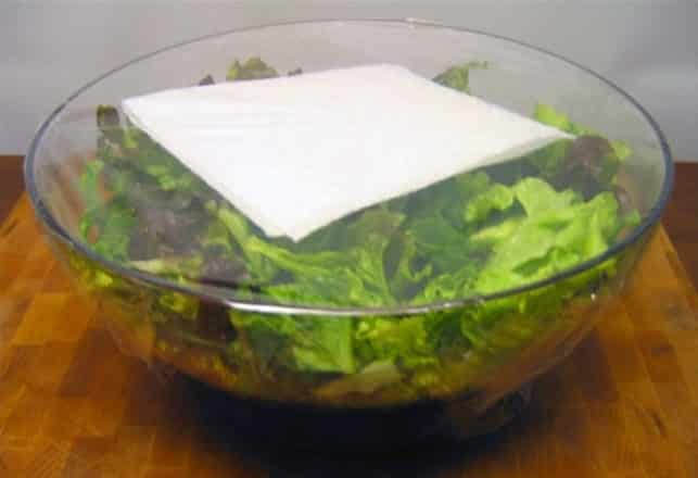 salade