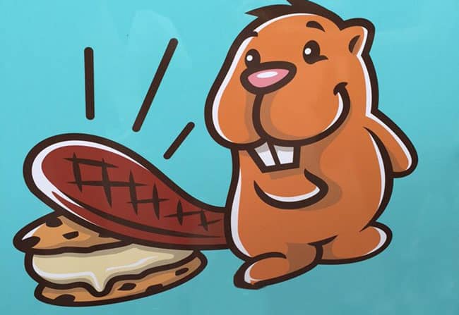 beaver