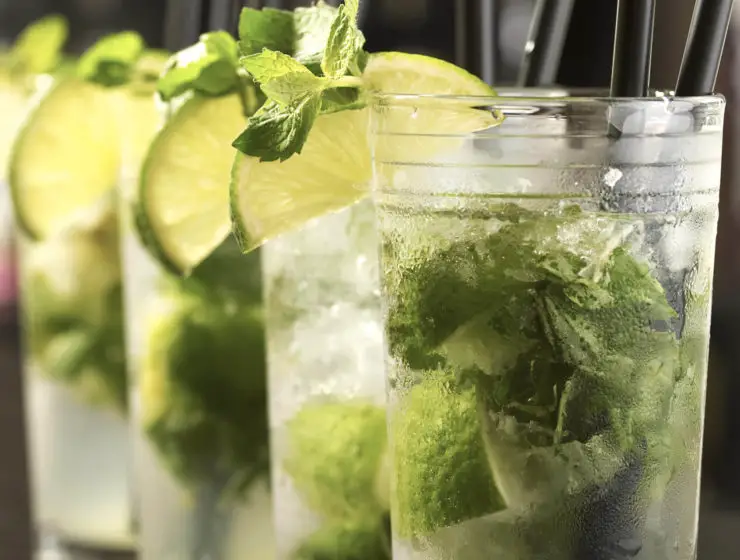 Elle va révolutionner vos apéros cet été, la machine à mojito arrive !