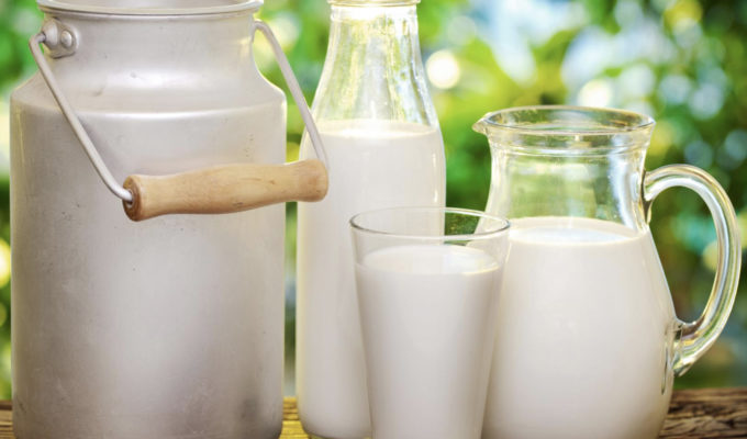 Le lait de cafard, le superaliment du futur